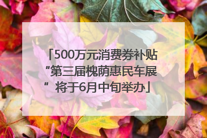 500万元消费券补贴 “第三届槐荫惠民车展”将于6月中旬举办