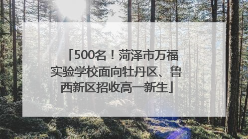500名！菏泽市万福实验学校面向牡丹区、鲁西新区招收高一新生