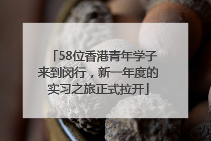 58位香港青年学子来到闵行，新一年度的实习之旅正式拉开