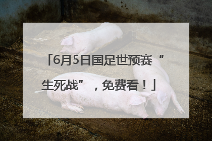6月5日国足世预赛“生死战”，免费看！