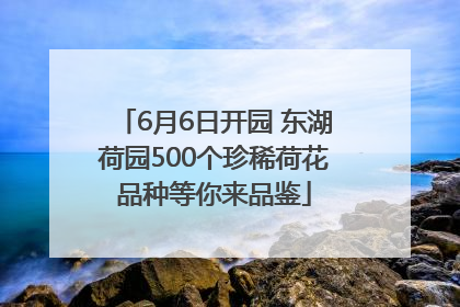 6月6日开园 东湖荷园500个珍稀荷花品种等你来品鉴
