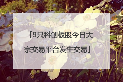 9只科创板股今日大宗交易平台发生交易