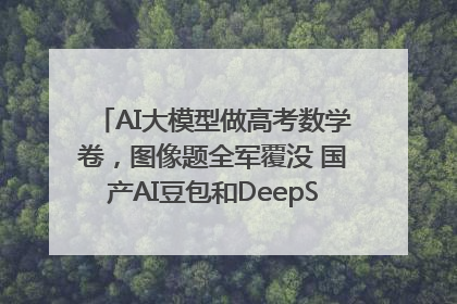 AI大模型做高考数学卷，图像题全军覆没 国产AI豆包和DeepSeek均得分144
