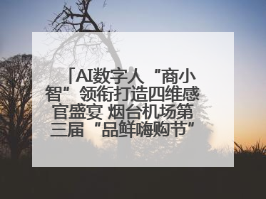 AI数字人“商小智”领衔打造四维感官盛宴 烟台机场第三届“品鲜嗨购节”智趣启航