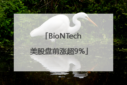 BioNTech美股盘前涨超9%
