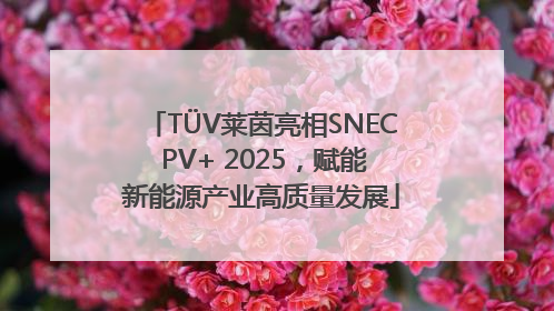 TÜV莱茵亮相SNEC PV+ 2025，赋能新能源产业高质量发展